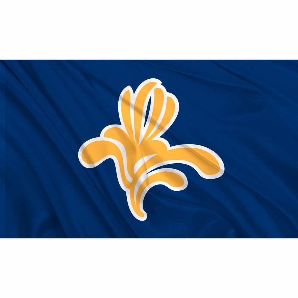 Drapeau de Bruxelles-Capitale