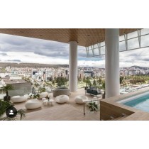 Cinq fauteuils lounge design sur un rooftop au bord d'une piscine. Un jacuzzi est également placé entre les sièges.