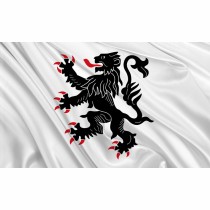 Drapeau de la ville de Binche | Drapeaux des communes de Belgique